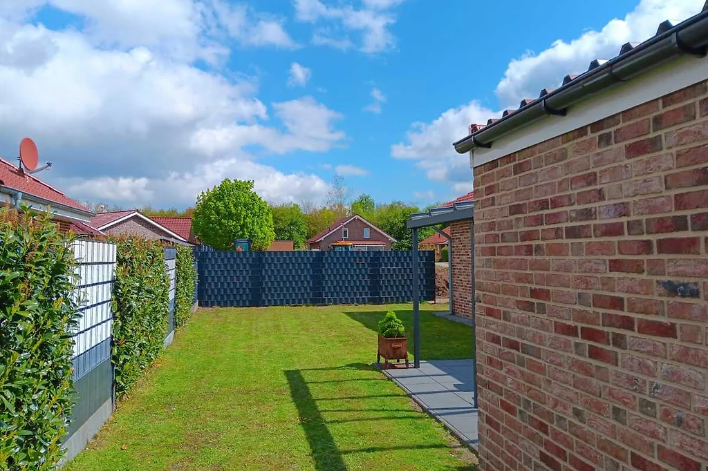 Blick über den Rasen des Gartens mit Hecke und Sichtschutzzaun unter blauem Himmel